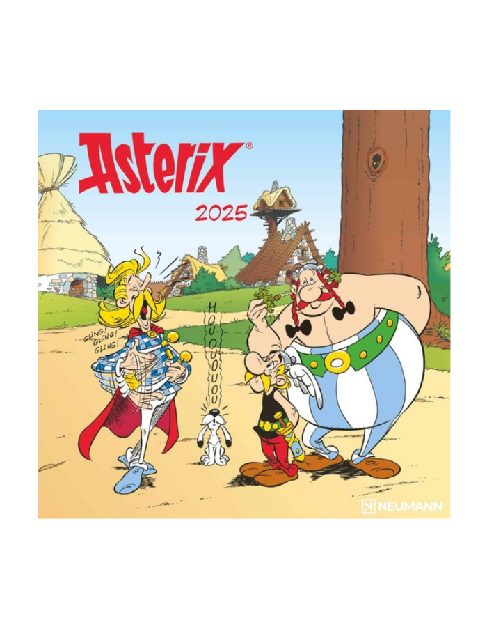 CALENDARIO 2025 ASTERIX 30X30