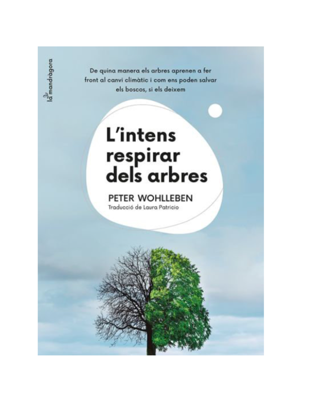 LINTENS RESPIRAR DELS ARBRES De quina manera els arbres aprenen a fer front al canvi climàtic i com ens poden