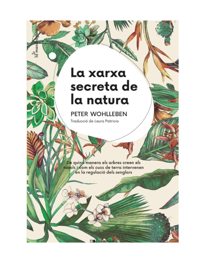 LA XARXA SECRETA DE LA NATURA De quina manera els arbres creen els nuvols i com els cucs de terra intervenen e