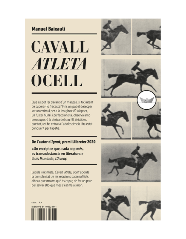 CAVALL ATLETA OCELL