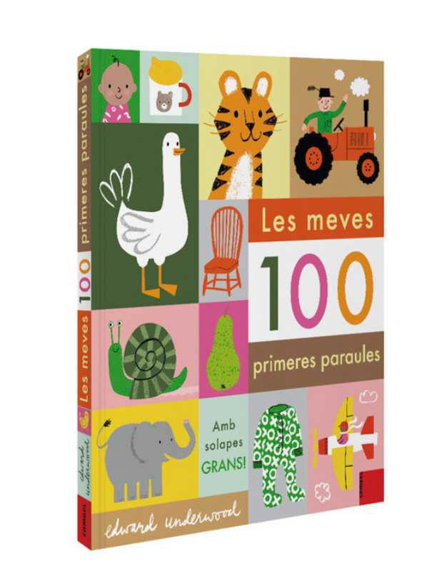 LES MEVES 100 PRIMERES PARAULES