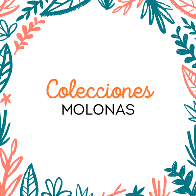 ¡Encuentra tu colección!