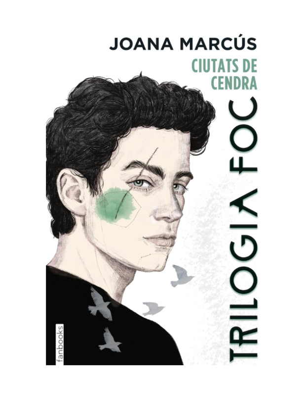 TRILOGIA FOC 2 CIUTATS DE CENDRA