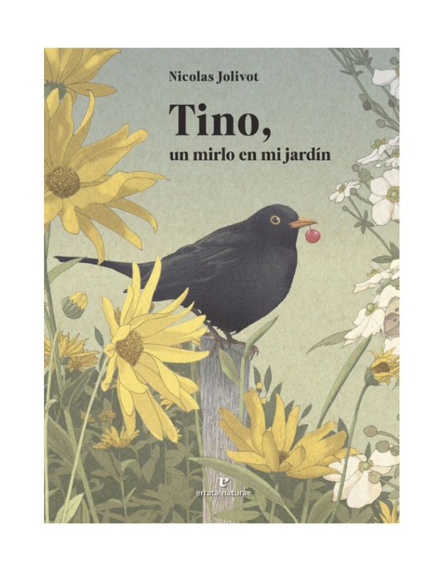 TINO UN MIRLO EN MI JARDIN (Novedad 2025)