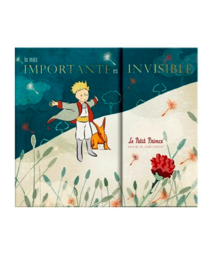 NOTAS AUTOADHESIVAS, PLANIFICADOR Y POST IT PRINCIPITO NOTAS AUTOADHESIVAS, PLANIFICADOR Y POST IT PRINCIPITO