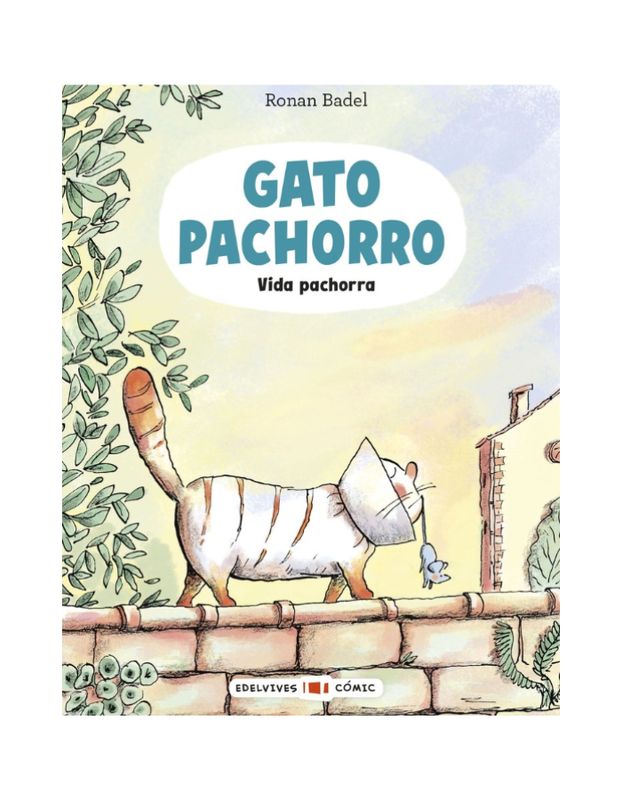 GATO PACHORRO VIDA PACHORRA 1 GATO PACHORRO VIDA PACHORRA 1