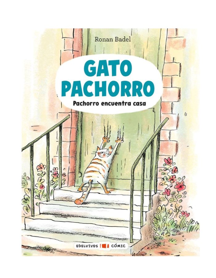 GATO PACHORRO ENCUENTRA CASA