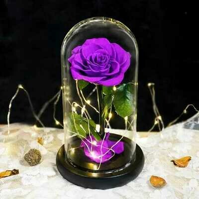 Eterfield Preserved Flower Rose in Glass Dome - Purple