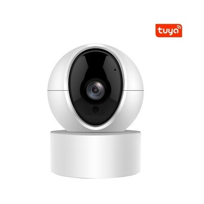 Tuya WiFi camera 2MP indoor PTZ color dome CCTV camera home security alarm system motion detection camera