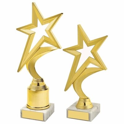 Star Award (Available in 2 Sizes)