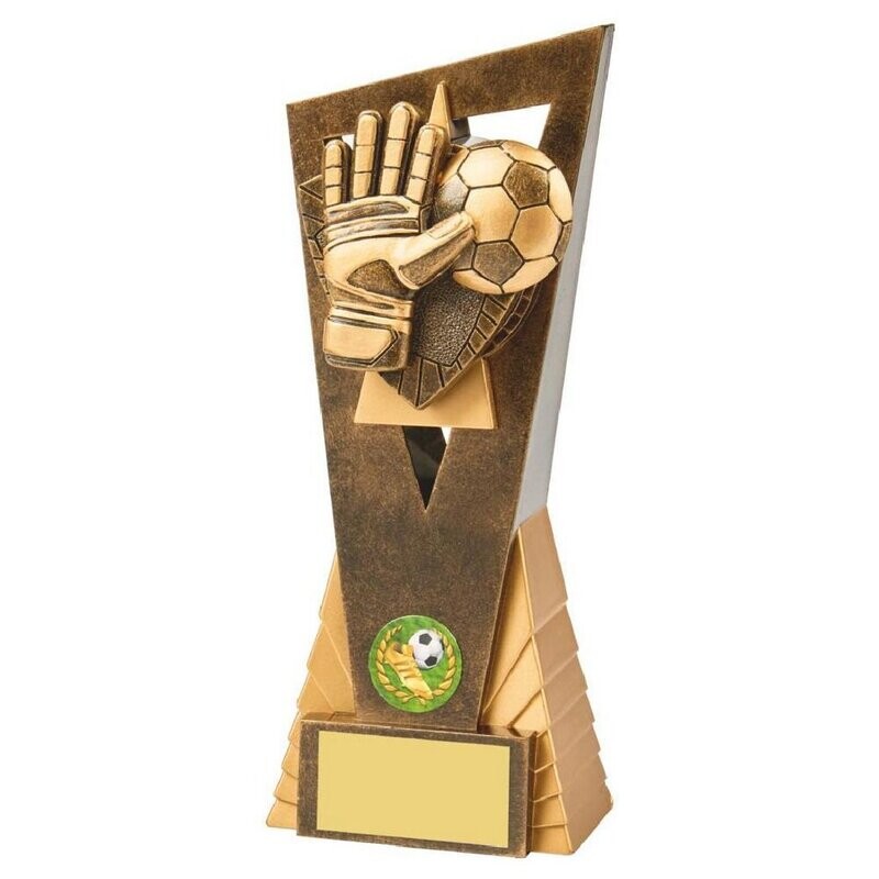 Resin Goal Keeper Award