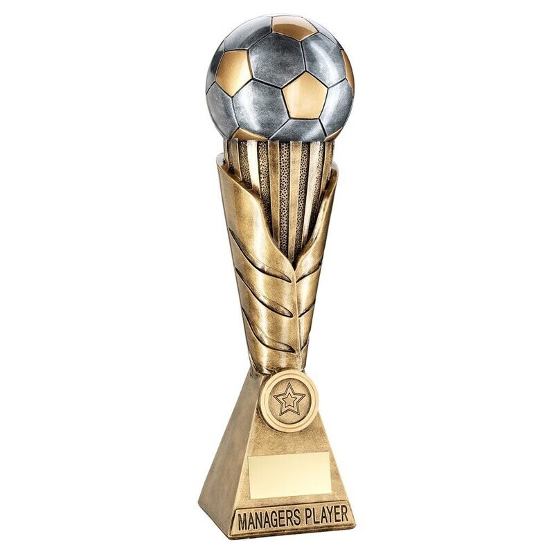 Resin Football Award (Available in 4 Options)