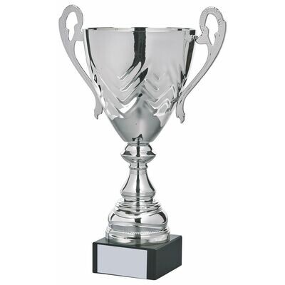 Presentation Cup (Silver) Available in 5 Sizes