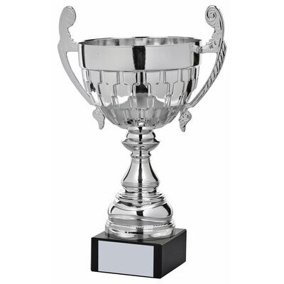 Presentation Cup (Silver)