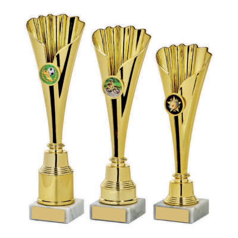 Multisport Award