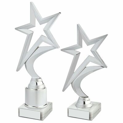 Multisport Star Award