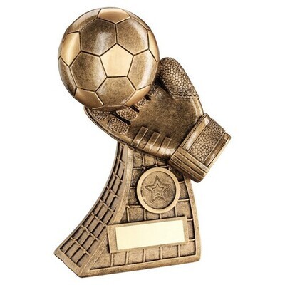 Resin Goalkeeper Award