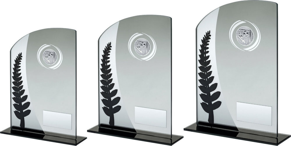 Football Glass Award
