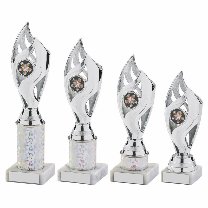 Silver Multi Sport Trophy