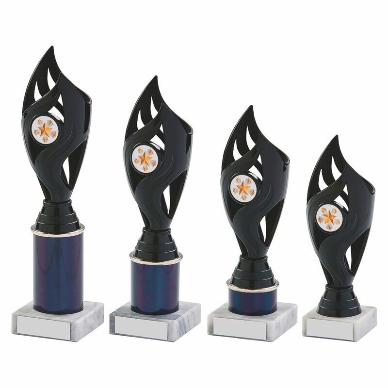 Black Multi Sport Award