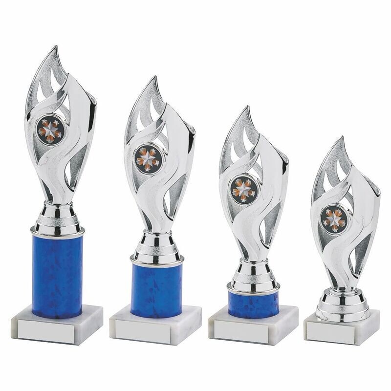 Blue/Silver Multi Sport Award