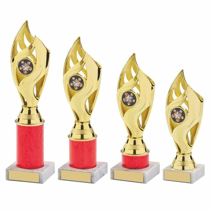 Red/Gold Multi Sport Award