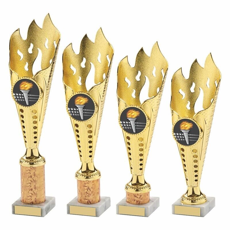 Gold Multi Sport Award