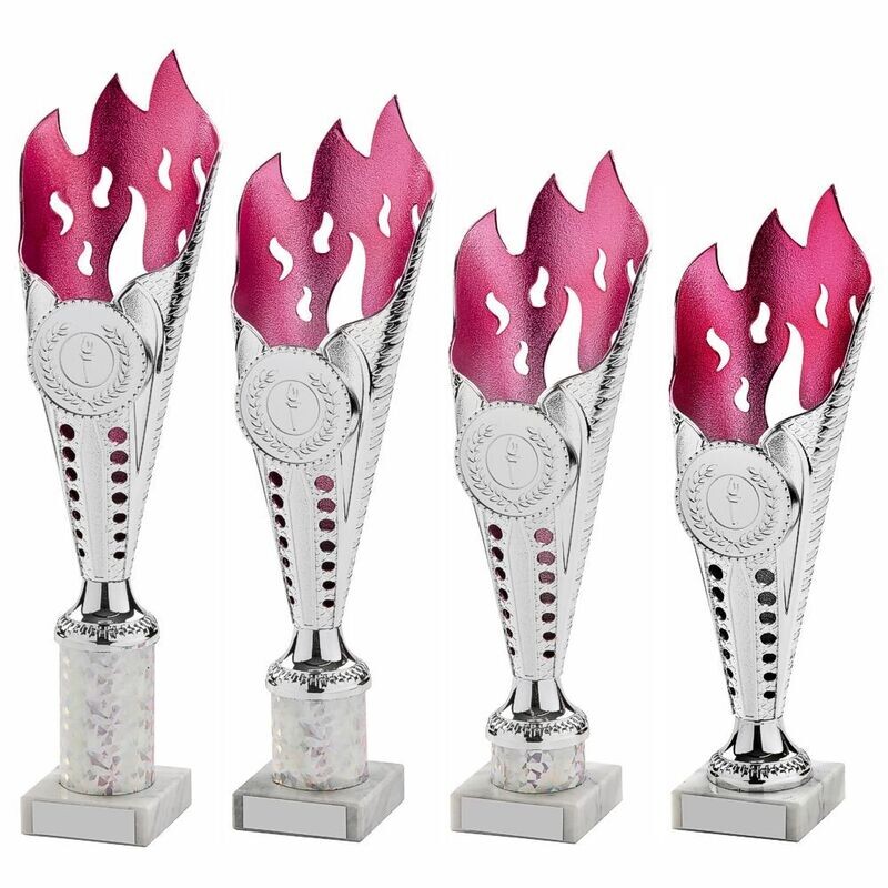 Pink/Silver Multi Sport Award