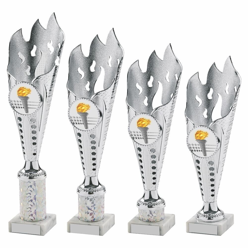 Silver Multi Sport Award