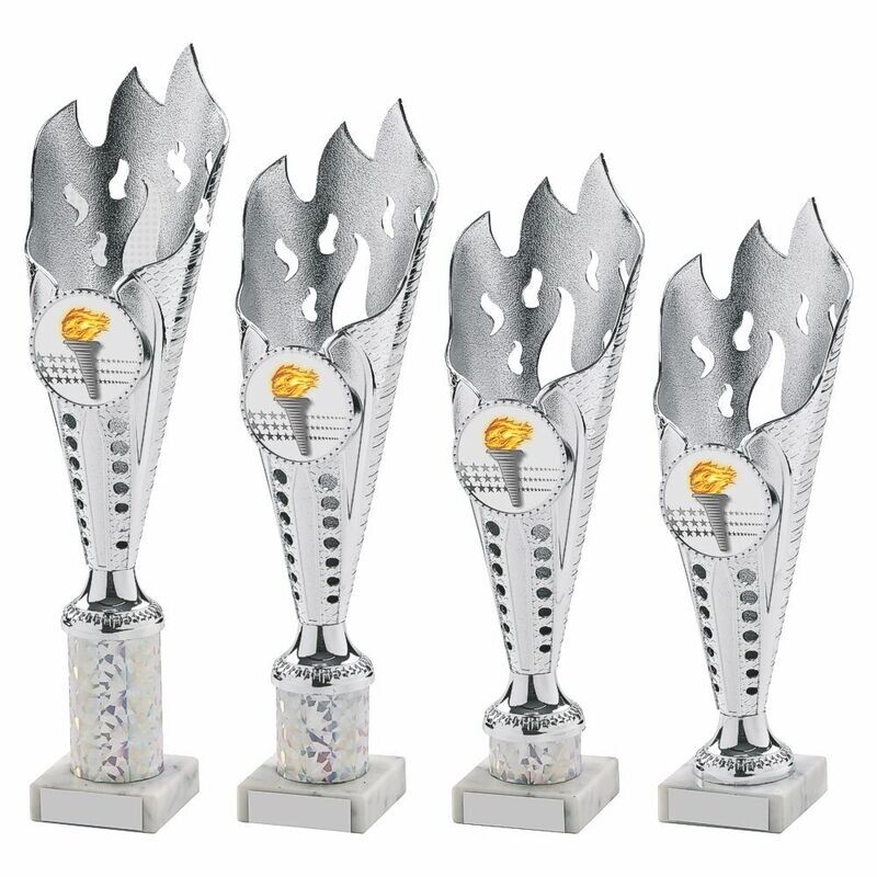 Silver Multi Sport Award