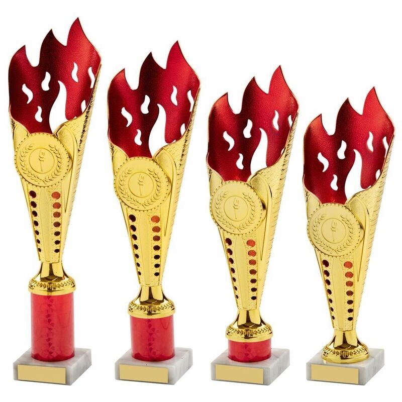 Red/Gold Multi Sport Award