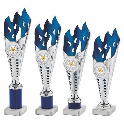 Blue/Silver Multi Sport Award