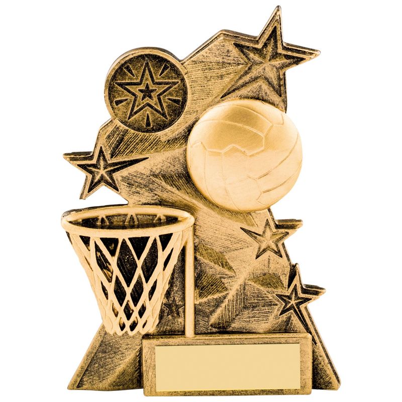 Netball Resin Award