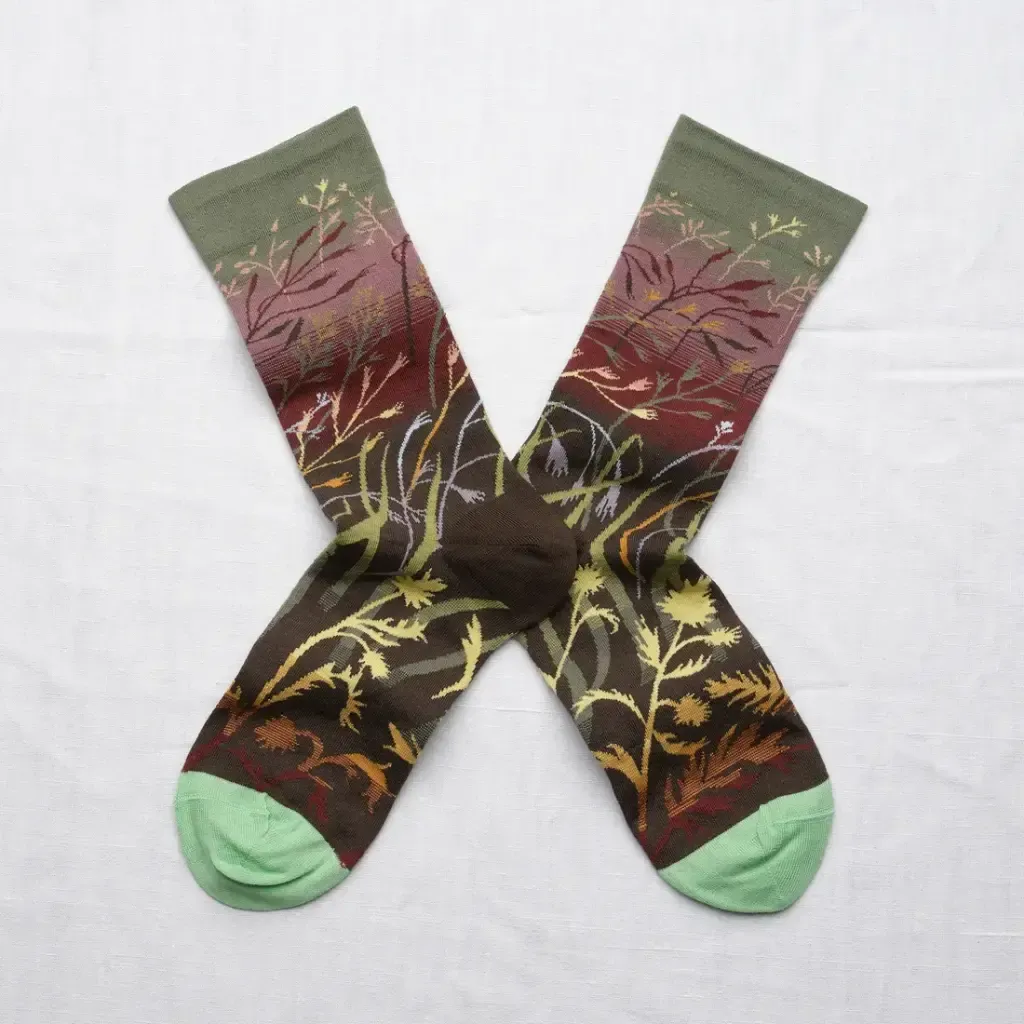 Socken Gräser