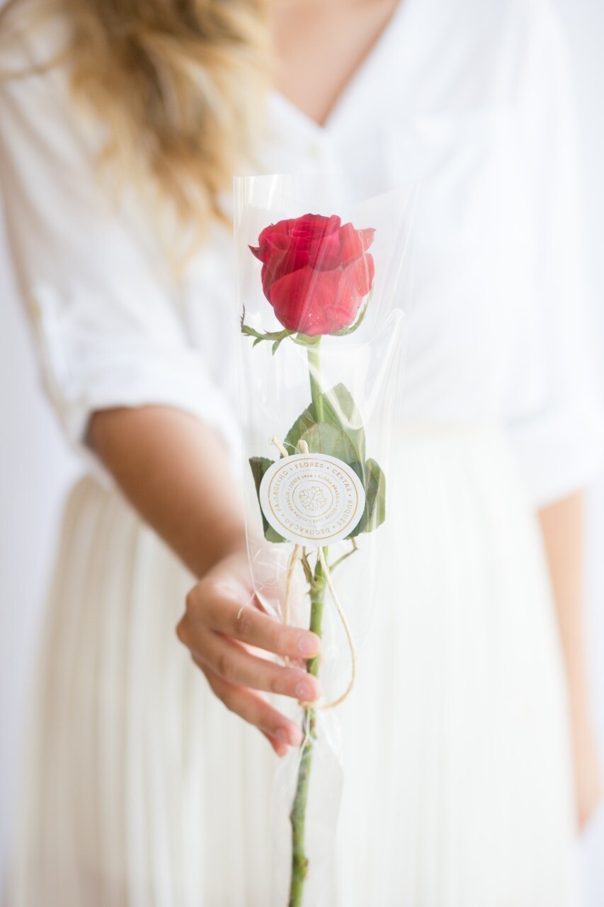 Rosa Simples