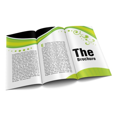3-PANEL BROCHURE
