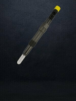 Genuine Delphi Injectors