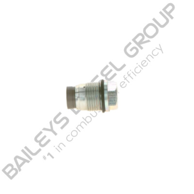 Genuine Bosch Pressure Limiting Valve (1 110 010 018)
