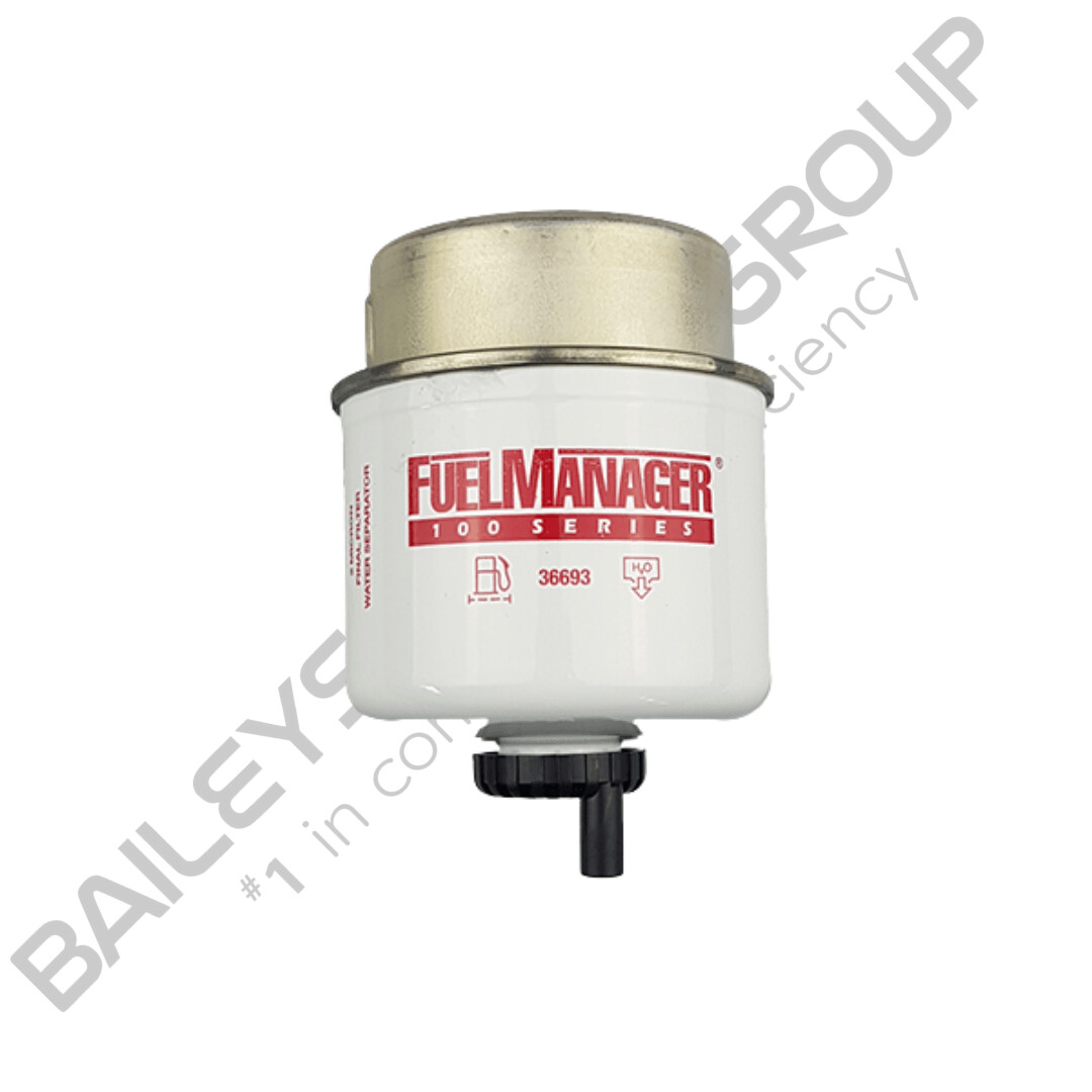 2 Micron Element Assembly Replacement Filter (36693)
