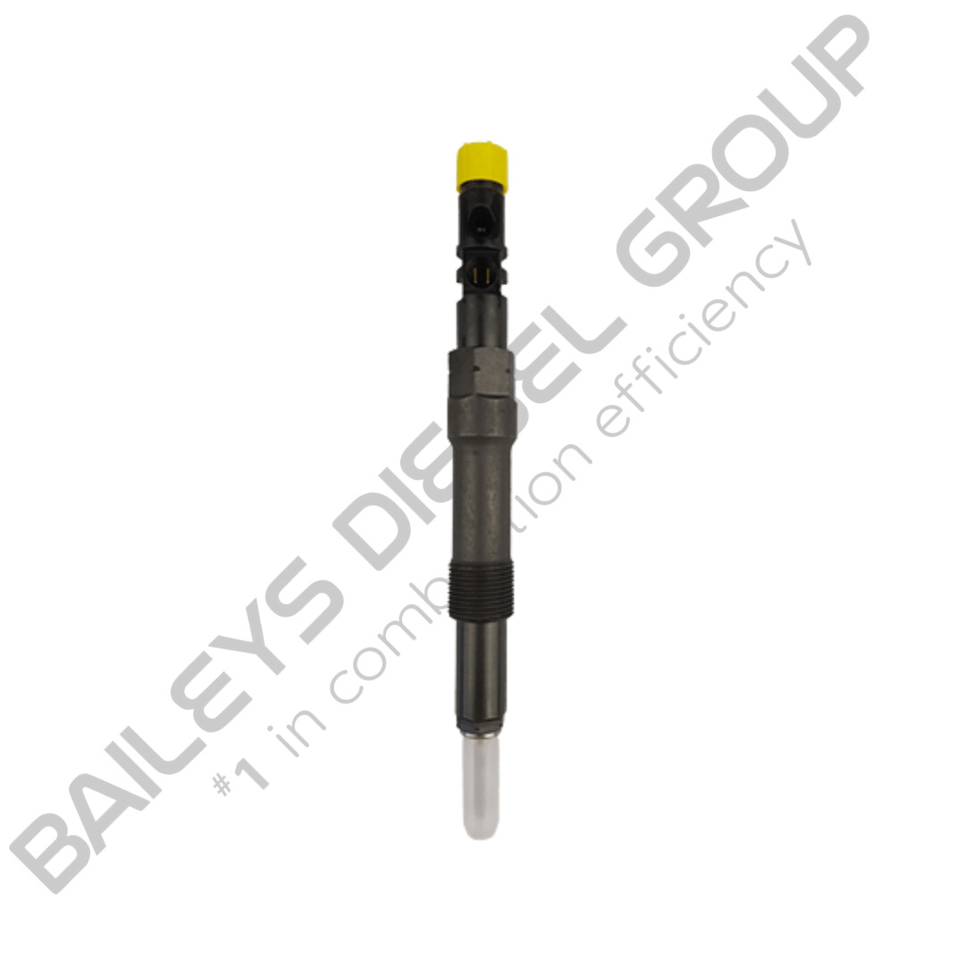 Delphi Injector for Ford Transit 2.4L (EJBR01101D | R0110D | EJBR00403Z | R00403Z)