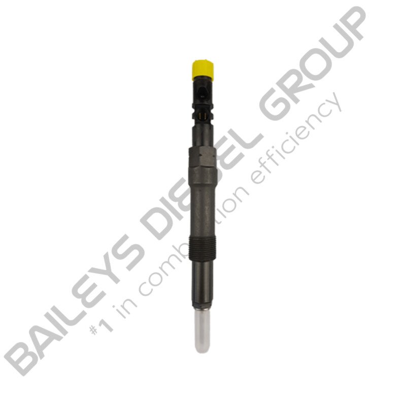 Delphi Injector for Ford Transit 2.4L (EJBR01101D | R0110D | EJBR00403Z | R00403Z)