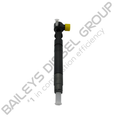 Delphi Injector to suit Ssangyong Actyon / Korando 2.0L Delphi Injector for Ssangyong Actyon / Korando 2.0L (EMBR00301D | R00301D)