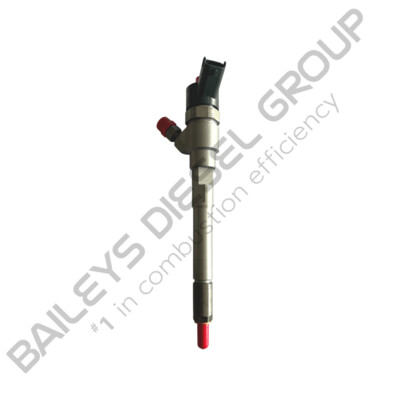 Blueprinted Injector for Hyundai Santa Fe 2.2 Grandeur TG (0 445 110 255)
