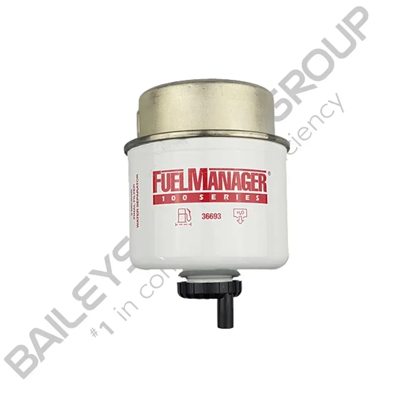 2 Micron Element Assembly Replacement Filter (36693)