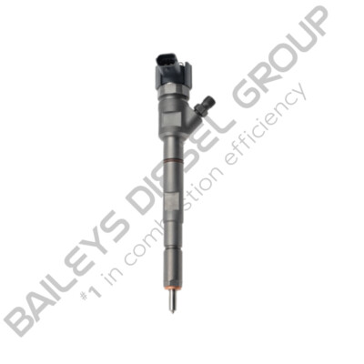 Bosch Injector for Hyundai iLoad (0 445 110 274)