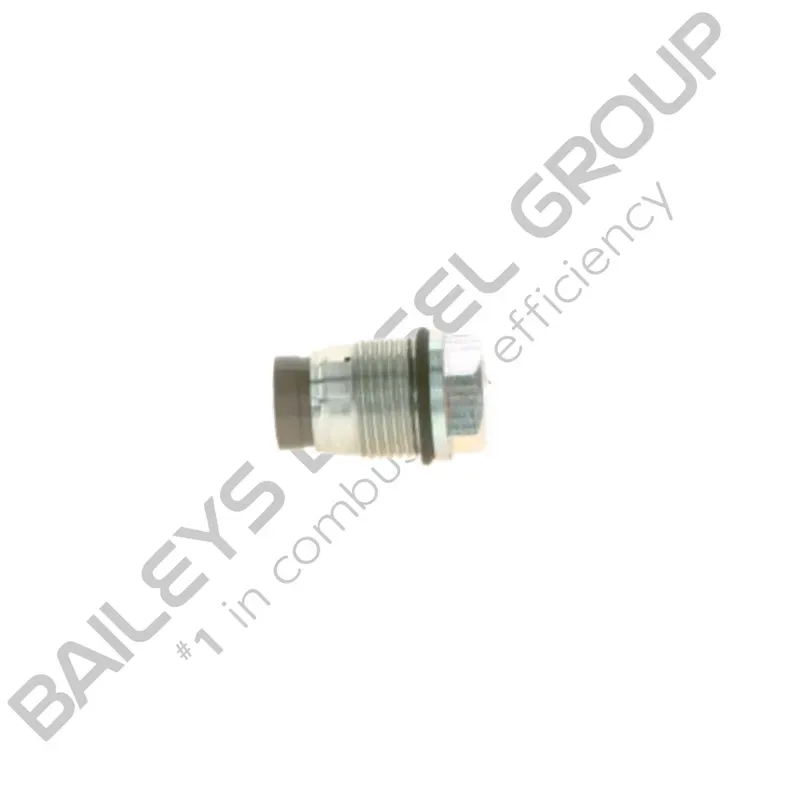 Genuine Bosch Pressure Limiting Valve (1 110 010 018)