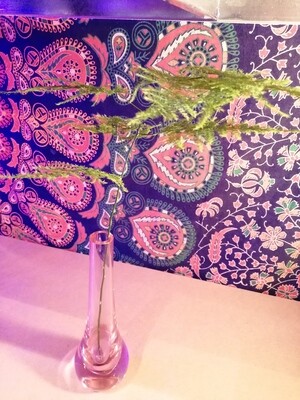 Glass Vase with Asparagus Fern