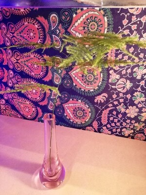 Glass Vase with Asparagus Fern