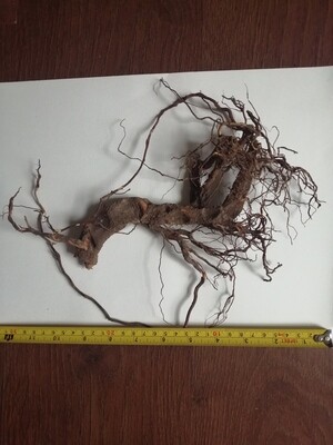 Dry Wood Root Decorative