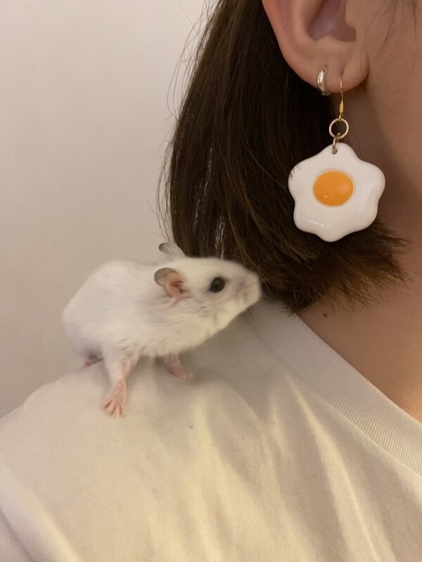 Sunny Side Up Egg Earring